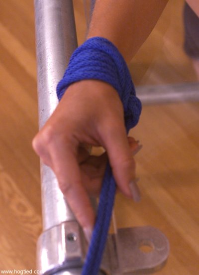Hogtied performed by Goldie Sex Gallery Gallery Cover Image